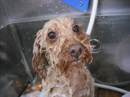 ファイル 3621-2.jpg