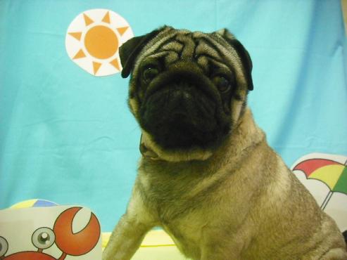 ファイル 3627-1.jpg