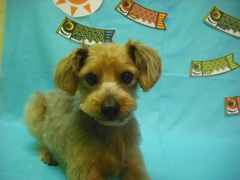 ファイル 3628-1.jpg