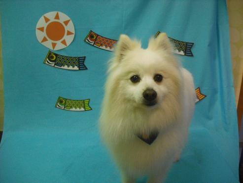 ファイル 3635-1.jpg