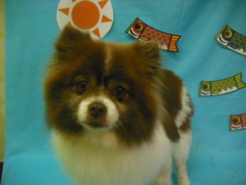 ファイル 3636-1.jpg