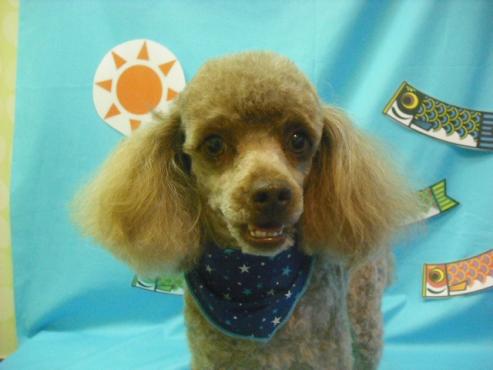 ファイル 3639-1.jpg