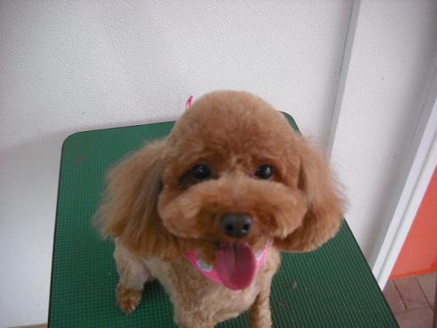 ファイル 364-1.jpg