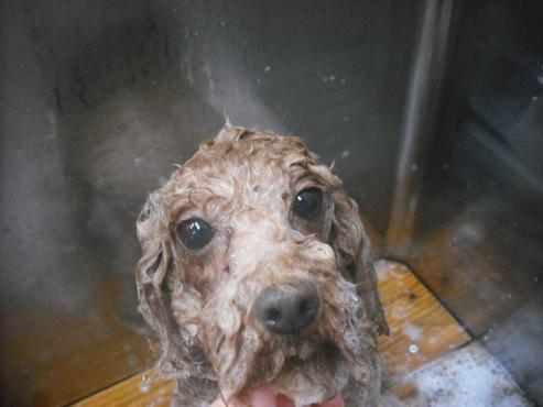 ファイル 364-2.jpg