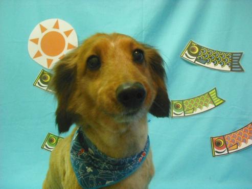 ファイル 3641-1.jpg