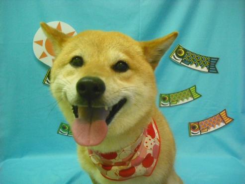 ファイル 3643-1.jpg