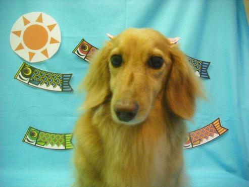 ファイル 3644-1.jpg