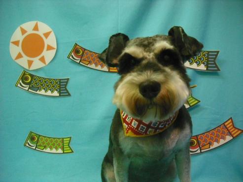 ファイル 3646-1.jpg