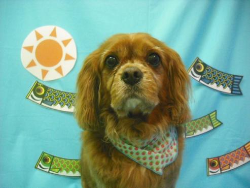 ファイル 3649-1.jpg