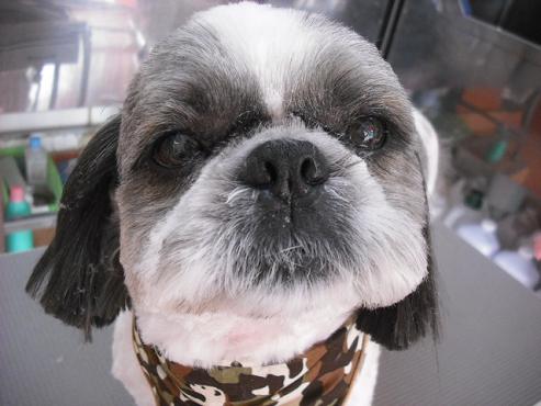 ファイル 365-1.jpg