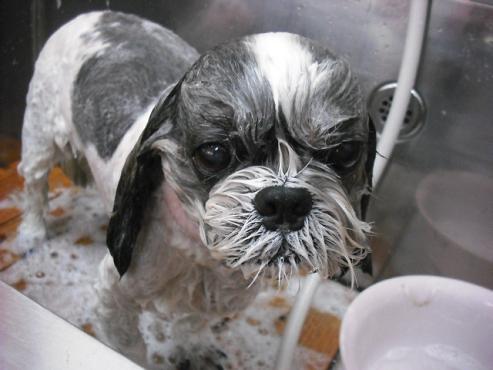 ファイル 365-3.jpg