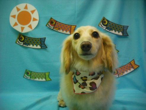 ファイル 3650-1.jpg