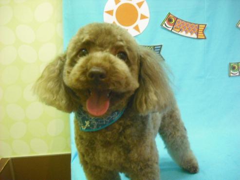 ファイル 3651-1.jpg