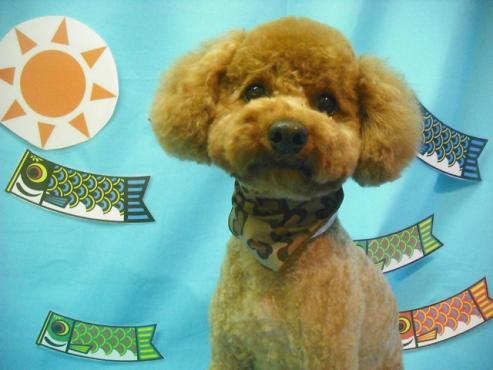 ファイル 3654-1.jpg