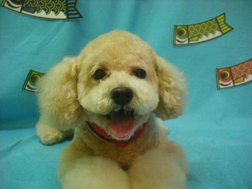 ファイル 3657-1.jpg