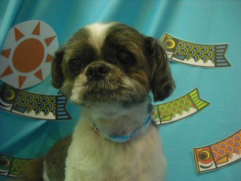 ファイル 3658-1.jpg