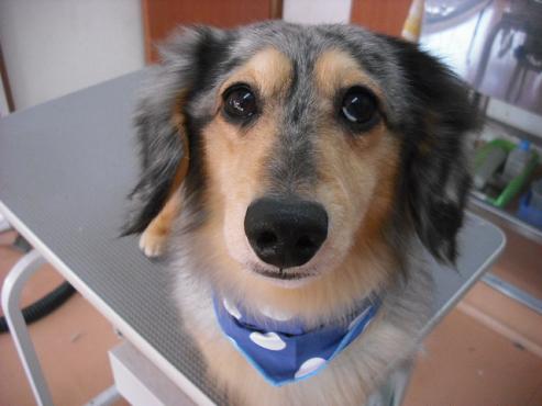 ファイル 366-1.jpg