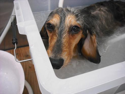 ファイル 366-3.jpg