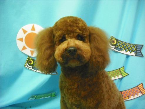 ファイル 3660-1.jpg