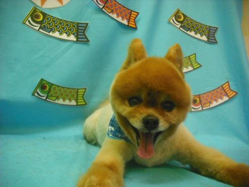 ファイル 3663-1.jpg