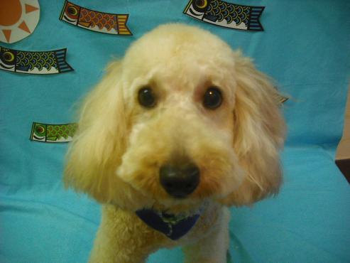 ファイル 3665-1.jpg