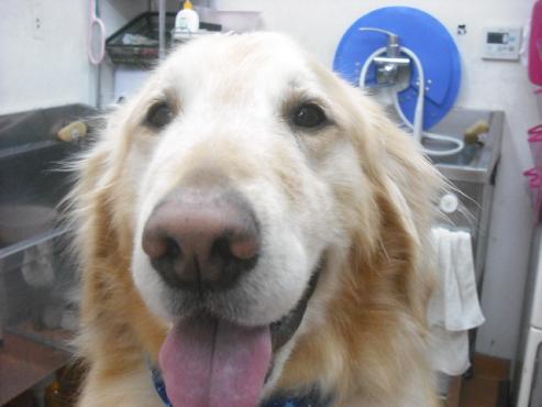 ファイル 3669-1.jpg