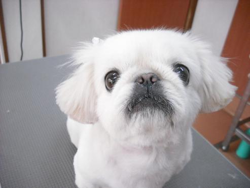 ファイル 367-1.jpg