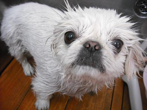 ファイル 367-3.jpg