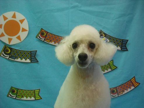 ファイル 3670-1.jpg