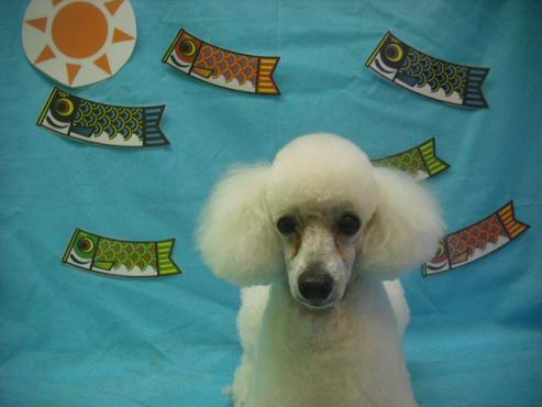 ファイル 3671-1.jpg