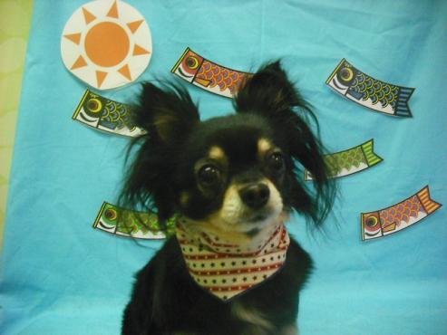 ファイル 3672-1.jpg