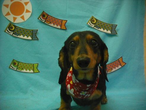 ファイル 3673-1.jpg