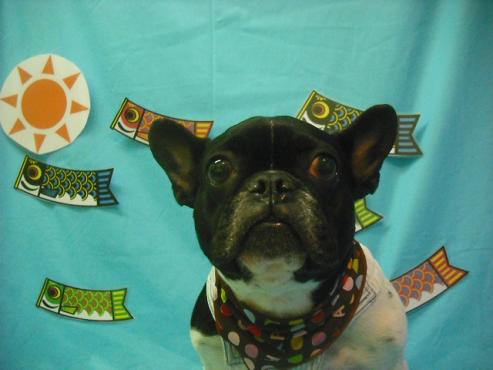 ファイル 3674-1.jpg