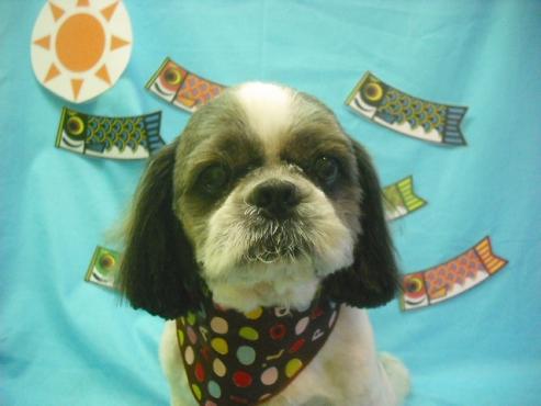 ファイル 3676-1.jpg