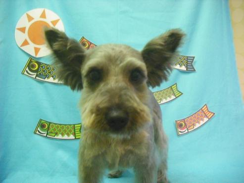 ファイル 3677-1.jpg