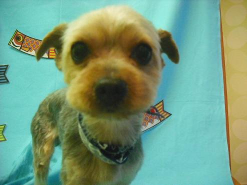 ファイル 3679-1.jpg