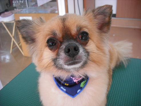 ファイル 368-1.jpg