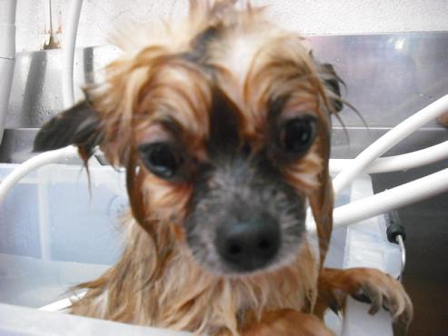 ファイル 368-3.jpg