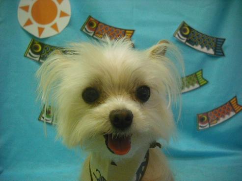 ファイル 3682-1.jpg