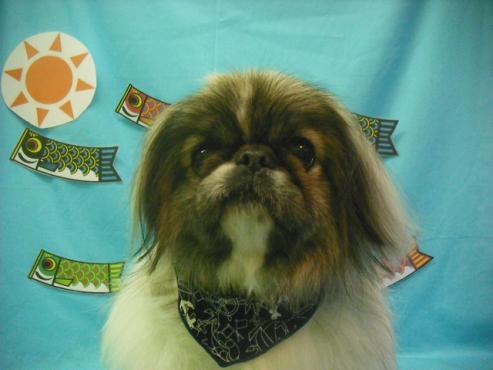 ファイル 3683-1.jpg