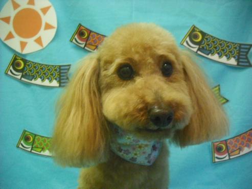 ファイル 3684-1.jpg