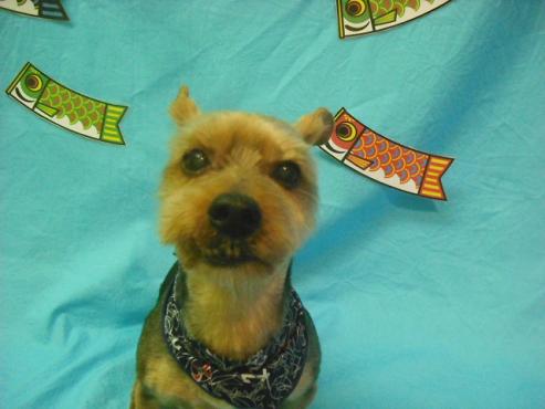 ファイル 3687-1.jpg