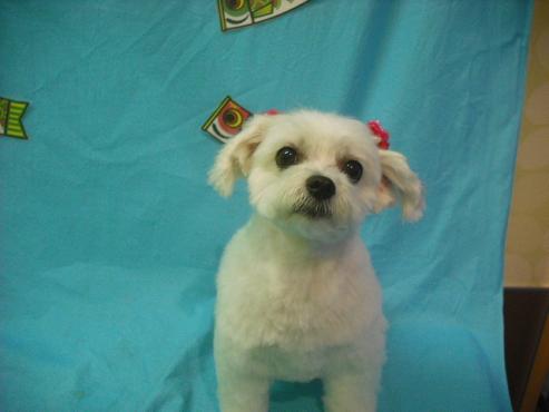 ファイル 3688-1.jpg