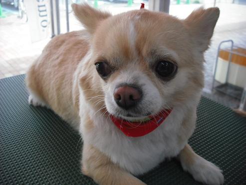 ファイル 369-1.jpg