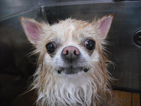 ファイル 369-3.jpg