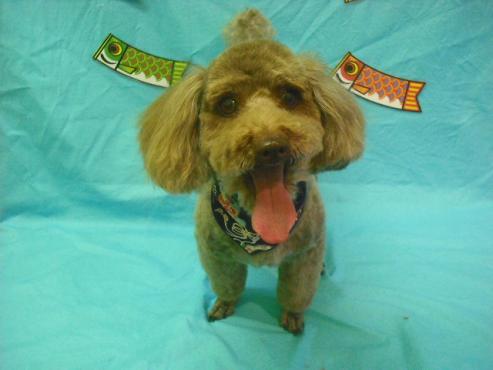 ファイル 3690-1.jpg