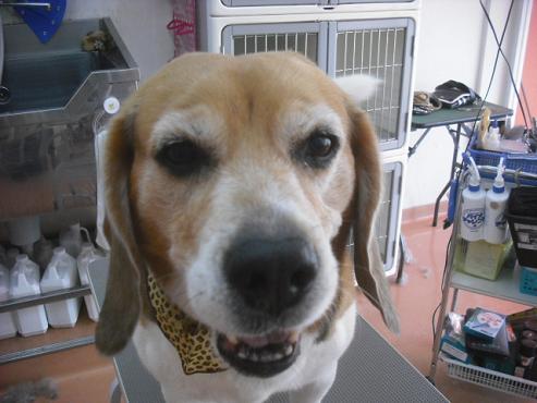 ファイル 3691-1.jpg