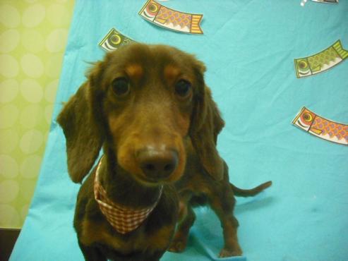 ファイル 3692-1.jpg