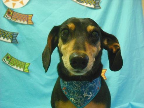 ファイル 3694-1.jpg