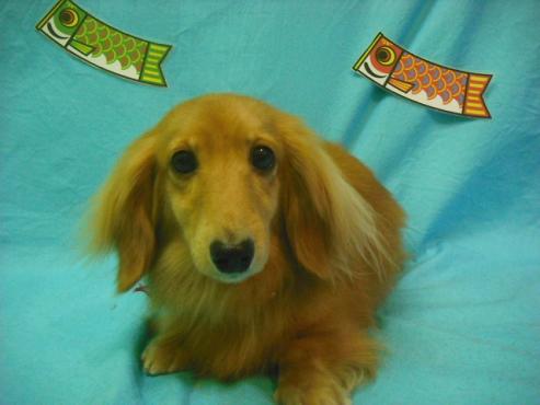 ファイル 3695-1.jpg